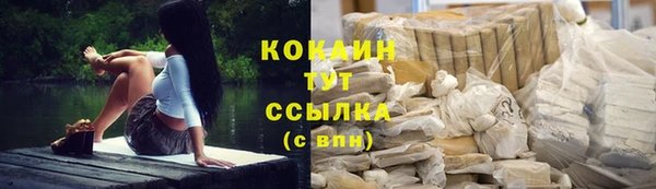 мдпв Белокуриха