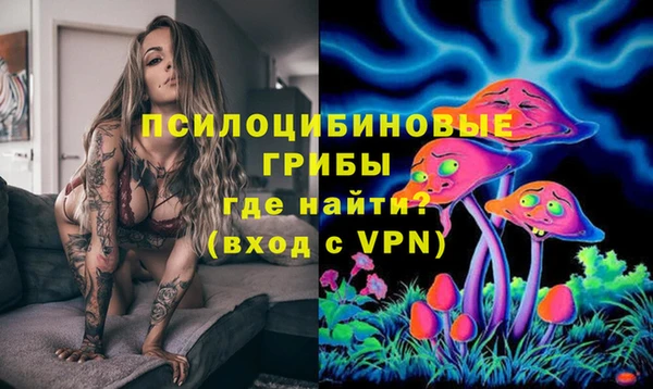 мдпв Белокуриха